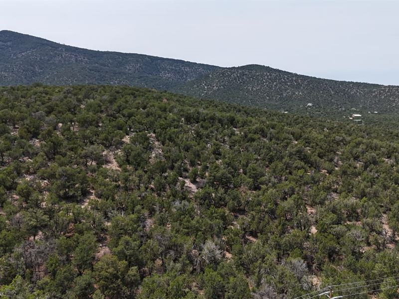 Lot 6 Skyline Sandia Park : Sandia Park : Sandoval County : New Mexico