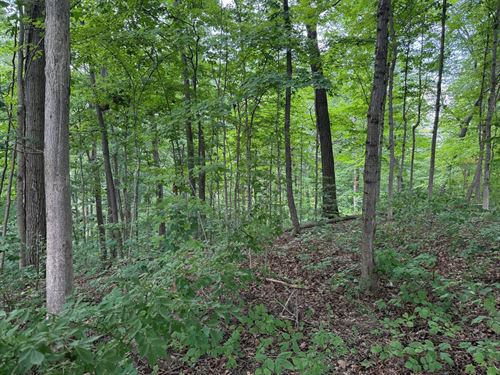 1.5 Acre Building Lot Near Cataract : Poland : Owen County : Indiana