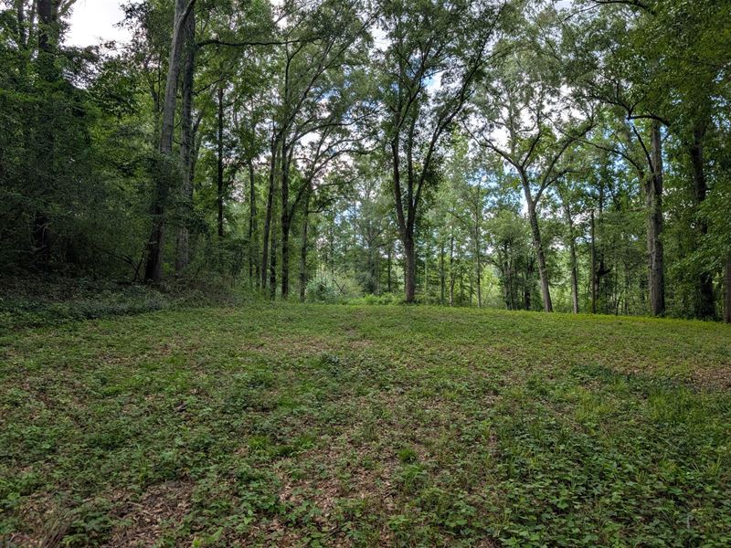 8.9 Acre Homesite with Creek-Pike : Troy : Pike County : Alabama
