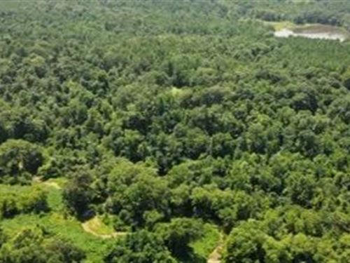 64.65 Acres in Tallahatchie County : Cascilla : Tallahatchie County : Mississippi