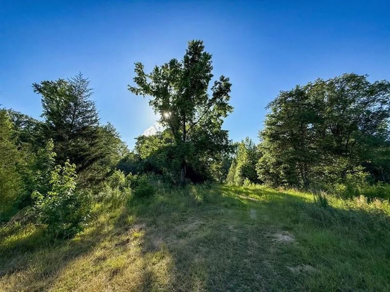 12.2 Acres in North Pike School : Ruth : Pike County : Mississippi