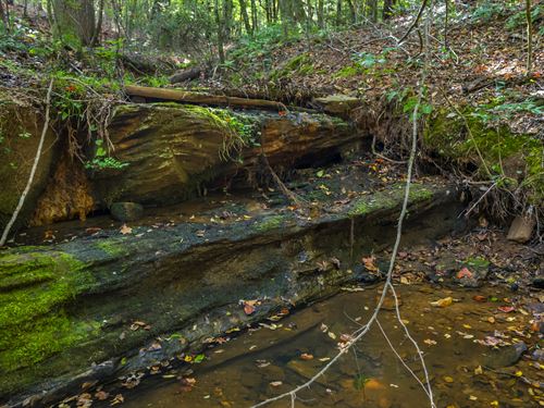 Fletcher Farms 5 : Forsyth : Monroe County : Georgia