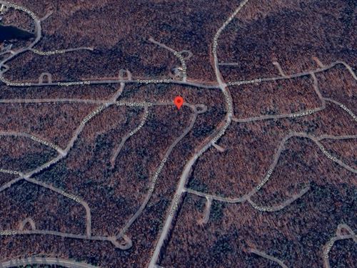 .25 Acres in Fulton County AR : Cherokee Village : Fulton County : Arkansas