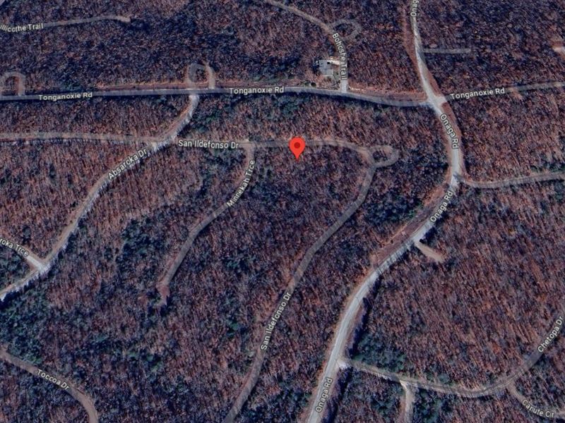 .25 Acres in Fulton County AR : Cherokee Village : Fulton County : Arkansas