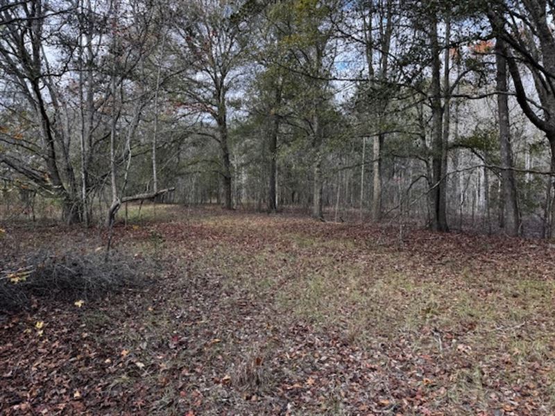 The Level Tract : Climax : Decatur County : Georgia
