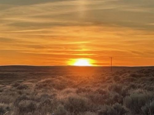 Coal Springs : Harrington : Lincoln County : Washington