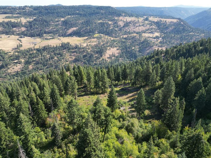 750 Mountain Top Drive : Orofino : Clearwater County : Idaho