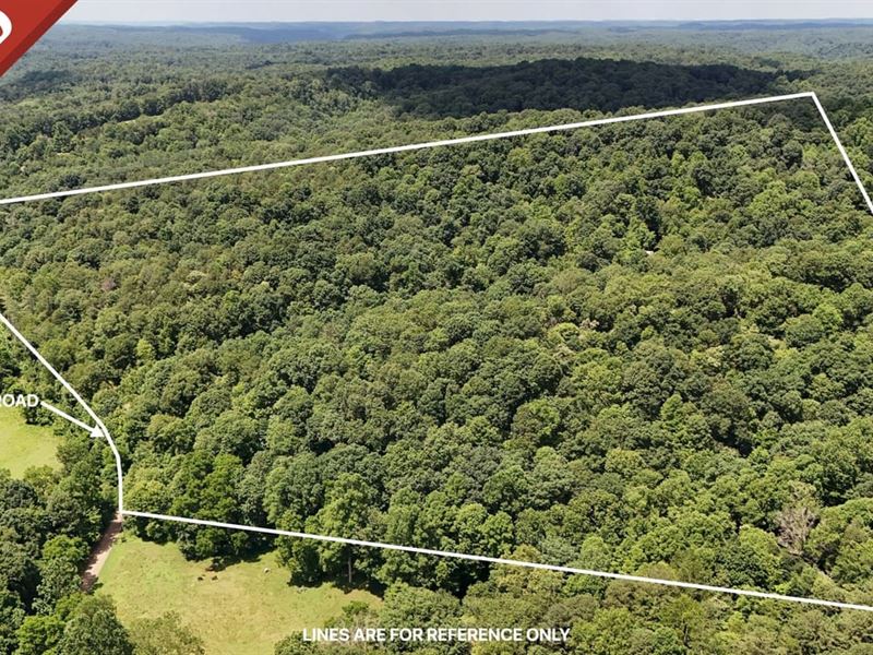 Sowers Rd, 50 Acres : McArthur : Vinton County : Ohio