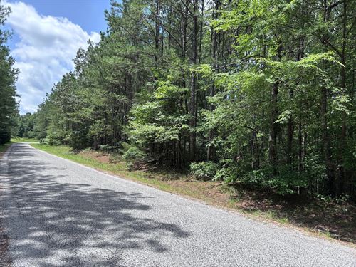 80 Acres In Prentiss County, MS : Baldwyn : Prentiss County : Mississippi