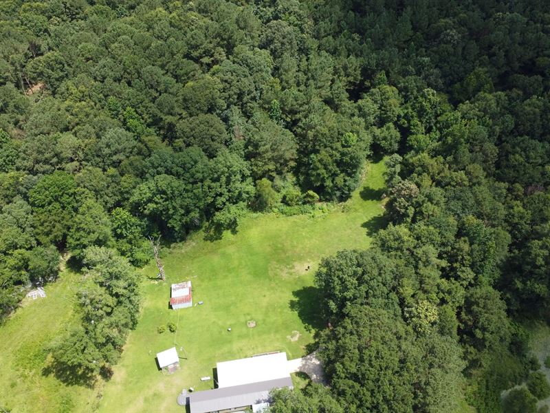 5 Acres with A Mobile Home in Jaspe : Louin : Jasper County : Mississippi
