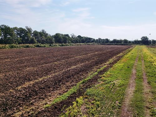 7 Acres In Bolivar County, MS : Cleveland : Bolivar County : Mississippi