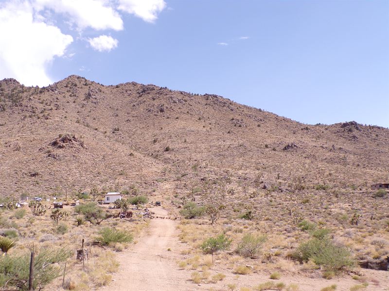 Big Mountain Views, Low Price : Dolan Springs : Mohave County : Arizona