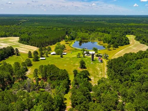 Ashsilla Farm : Sylvania : Screven County : Georgia