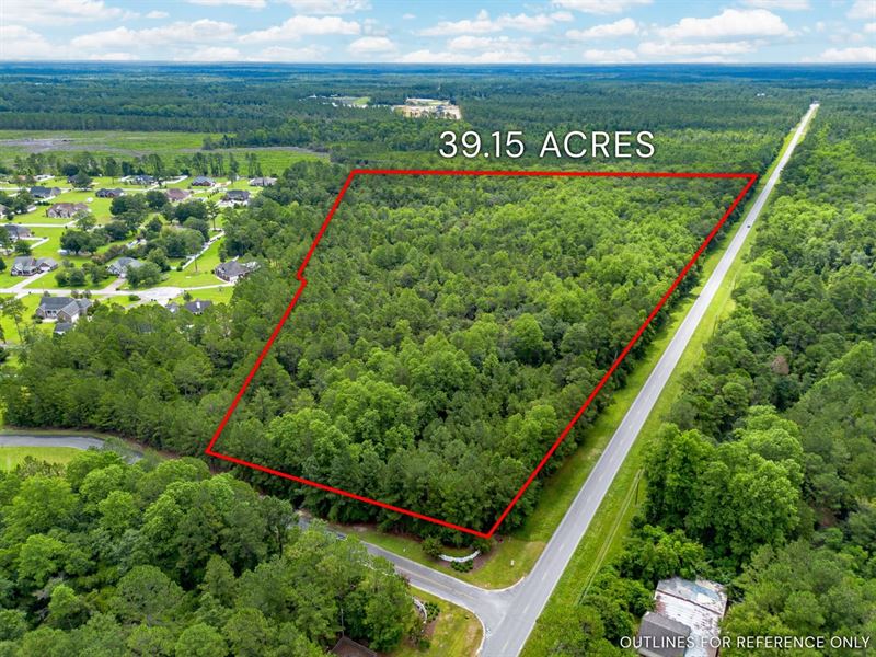 Tract 2, 39.15 Acres, Sunset Blvd : Jesup : Wayne County : Georgia