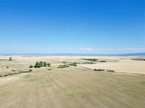 Wasem Road Parcel 5 : Cottonwood : Idaho County : Idaho