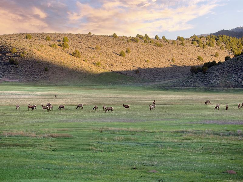 Piceance Creek Tract 4 : Meeker : Rio Blanco County : Colorado
