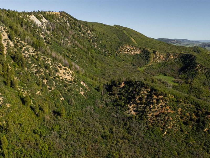 Piceance Creek Tract 1 : Rifle : Garfield County : Colorado