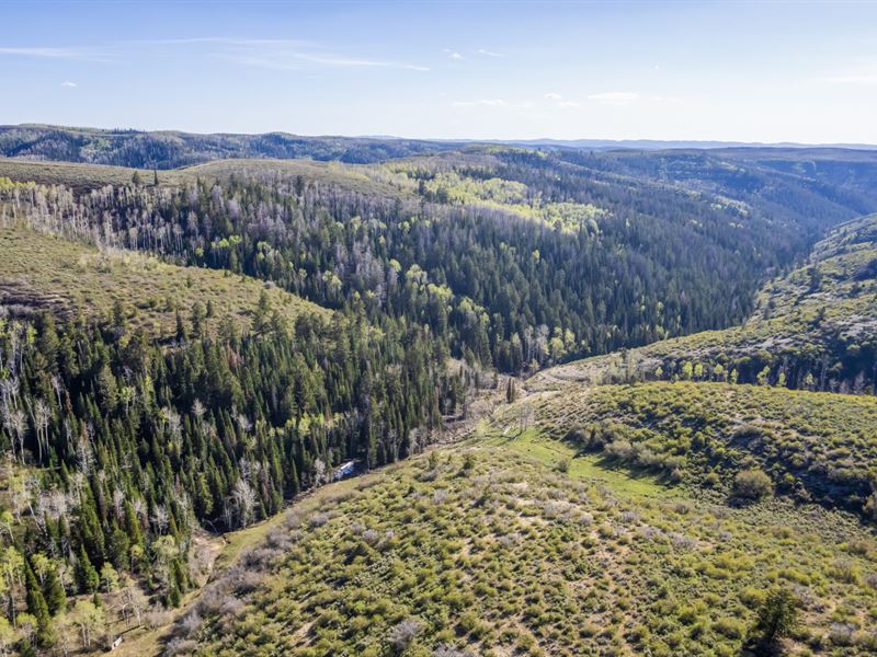 Cow Creek Ranch Tract 3 : Meeker : Rio Blanco County : Colorado
