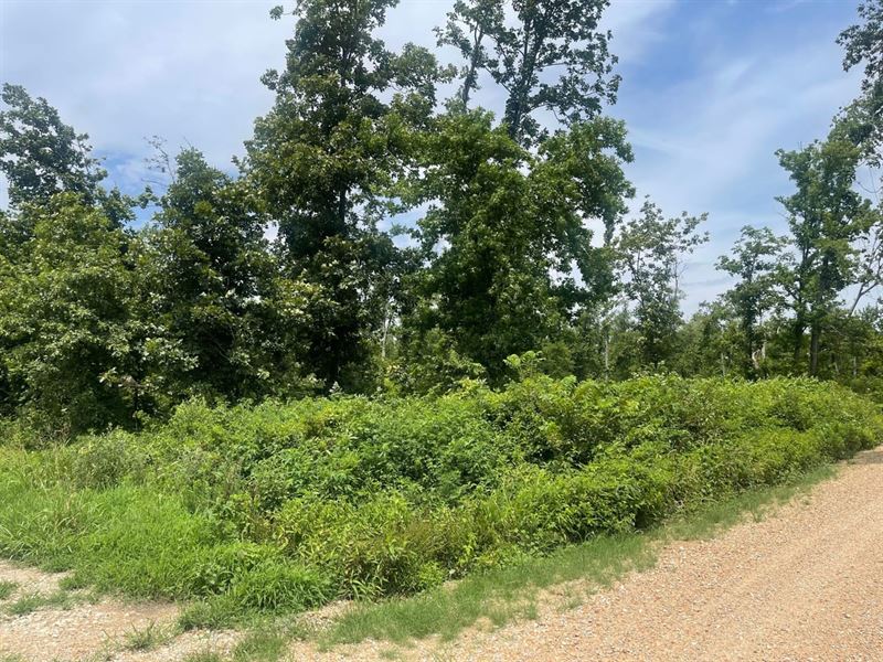 80 Acres for Sale in Butler Co : Poplar Bluff : Butler County : Missouri