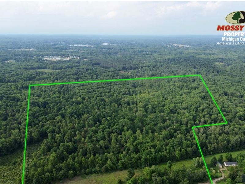 36 Acres / Mecosta County / Can : Morley : Mecosta County : Michigan