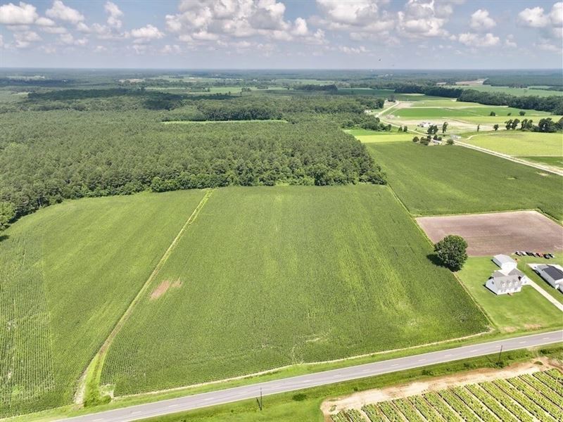 11.39 Acres of Re : Snow Hill : Greene County : North Carolina