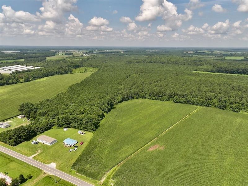 16.62 Acres of Re : Snow Hill : Greene County : North Carolina