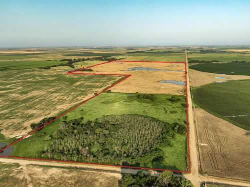 Kiowa County Farm & Hunt : Haviland : Kiowa County : Kansas