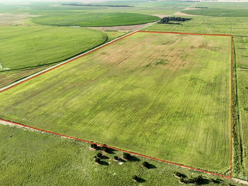 Kiowa County Tillable 76 : Haviland : Kiowa County : Kansas