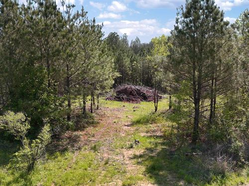 3.12 Acres in Rankin County, MS : Brandon : Rankin County : Mississippi