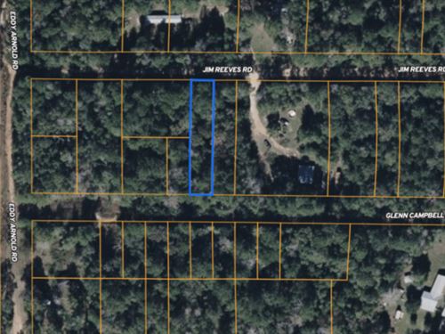 Utility-Ready Lot Near Livingston : Livingston : Polk County : Texas