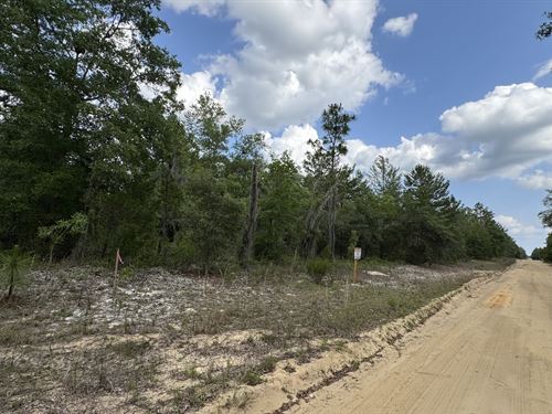 Private Lot Close to Lake Grandin : Interlachen : Putnam County : Florida
