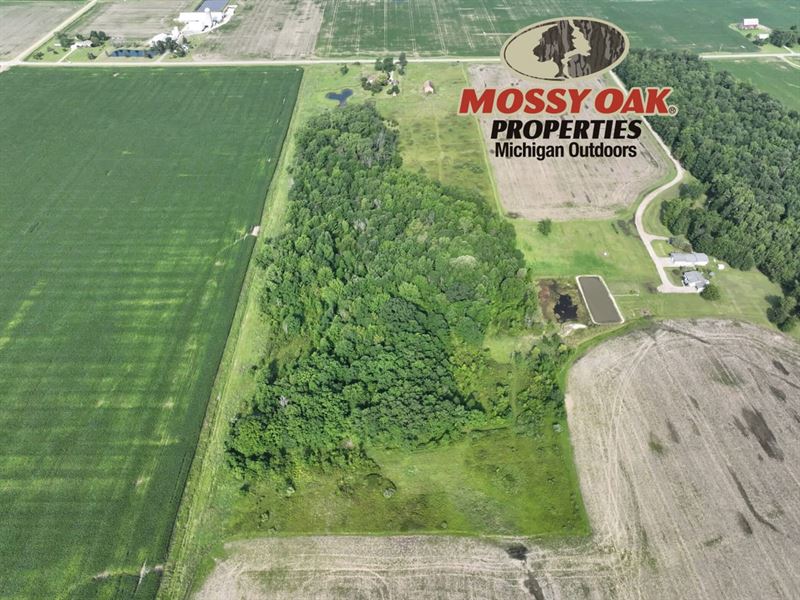 25 Acres 8674 Silverwood Rd, Sil : Silverwood : Lapeer County : Michigan