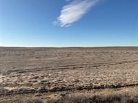 Small Native Grass Tract : Kit Carson : Cheyenne County : Colorado
