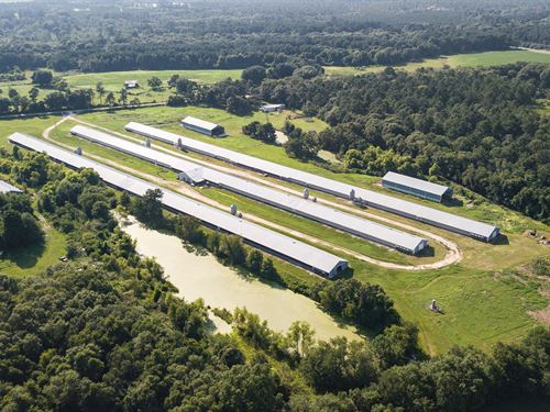 Georgia Poultry Breeder Farm : Coolidge : Thomas County : Georgia