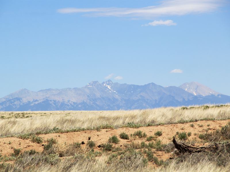 5 Ac of Scenic Freedom in Costilla : Mesa : Costilla County : Colorado