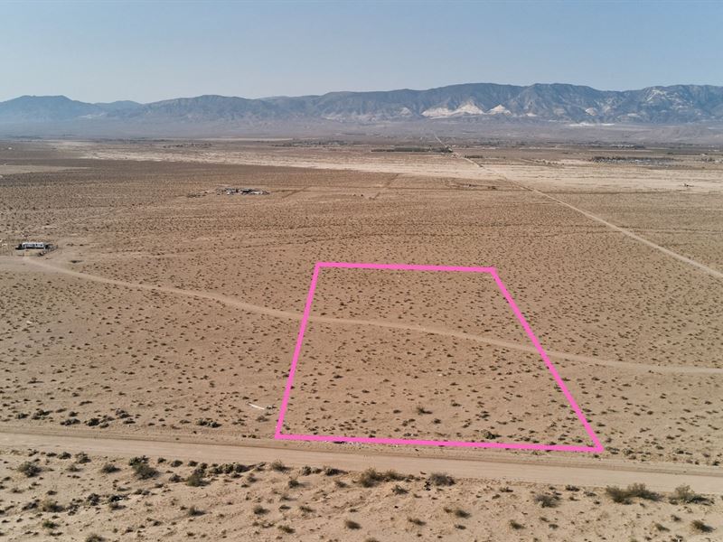 Cash Deal for Great 5 Acre : Lucerne Valley : San Bernardino County : California