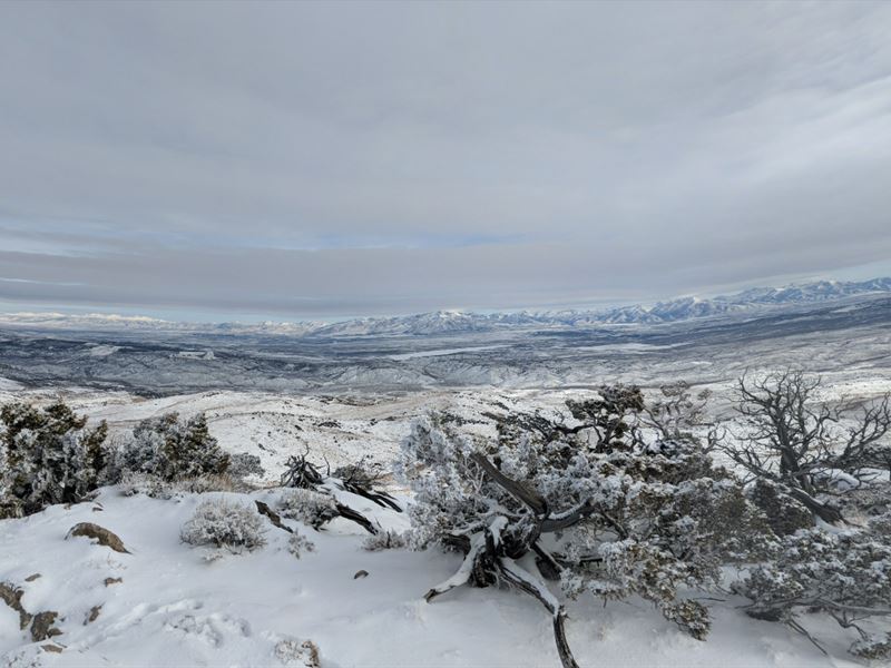 1.03 Acres in Elko County, NV : Elko : Elko County : Nevada