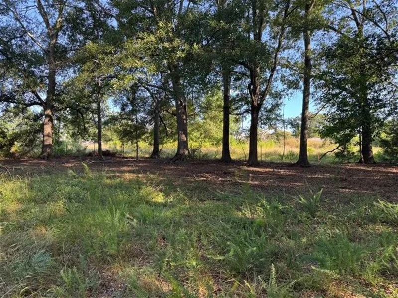 2.5 Acres On W Georgia Road : Simpsonville : Greenville County : South Carolina