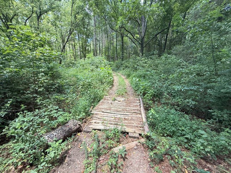 Joppa 9 Acre Homestead : Joppa : Cullman County : Alabama