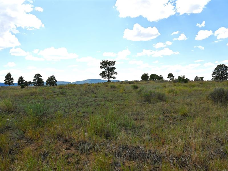 Chama West 10 : Chama : Rio Arriba County : New Mexico