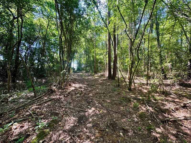 99 Acres in Hinds County in Byram : Byram : Hinds County : Mississippi