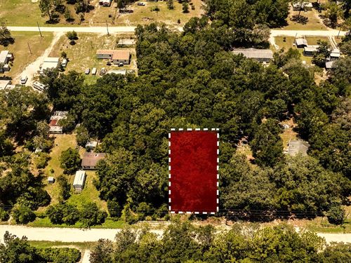 Room to Build, Space to Breathe : Ocala : Marion County : Florida