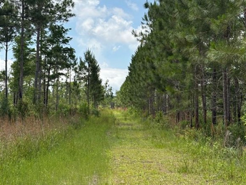 Coastal Escape : Bay Saint Louis : Hancock County : Mississippi