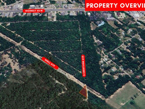 FL Lot, No HOA, No Floodzone : Inverness : Citrus County : Florida