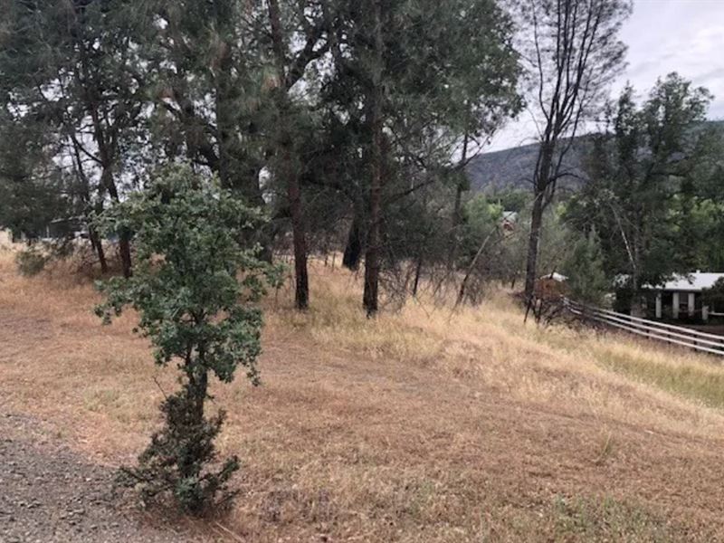 Peaceful Half Acre Lot in Clearlake : Clearlake Oaks : Lake County : California