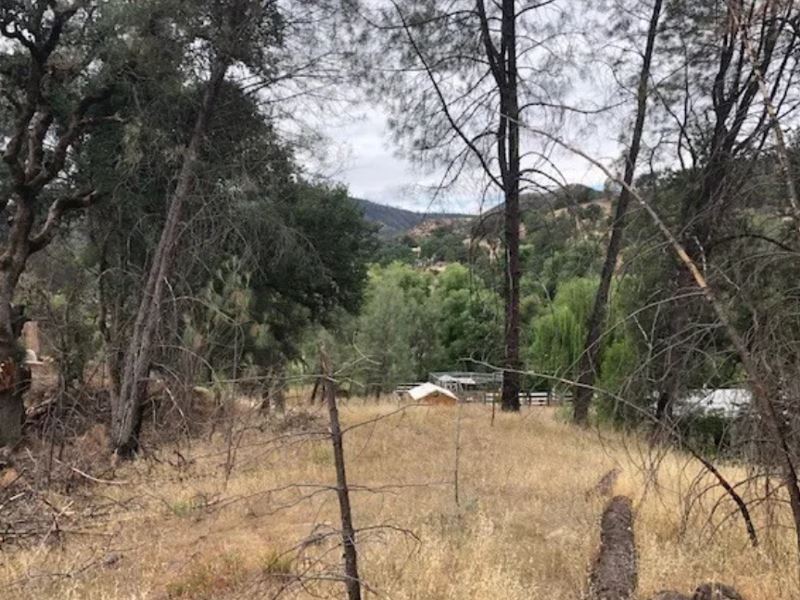 Peaceful Half Acre Lot in Clearlake : Clearlake Oaks : Lake County : California