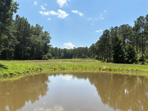 Falling Creek Hunting & Timber : Elberton : Elbert County : Georgia
