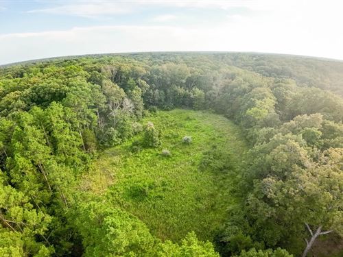 White Oak Hollow : Holts Summit : Callaway County : Missouri