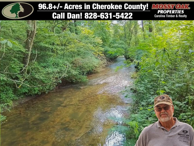 96.84 Acres Unrestricted with Usfs : Murphy : Cherokee County : North Carolina