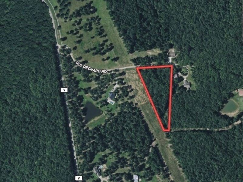 Build-Friendly, 3-Acre Parcel Just : Piedmont : Wayne County : Missouri